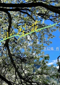 小梨花插花注意事项